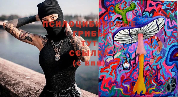 прущая мука Верхний Тагил