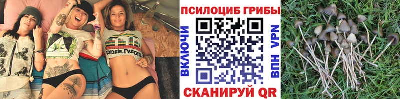 закладка  Челябинск  Галлюциногенные грибы ЛСД 