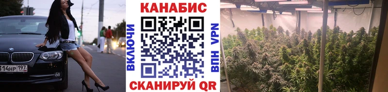 Конопля гибрид  закладки  Челябинск 
